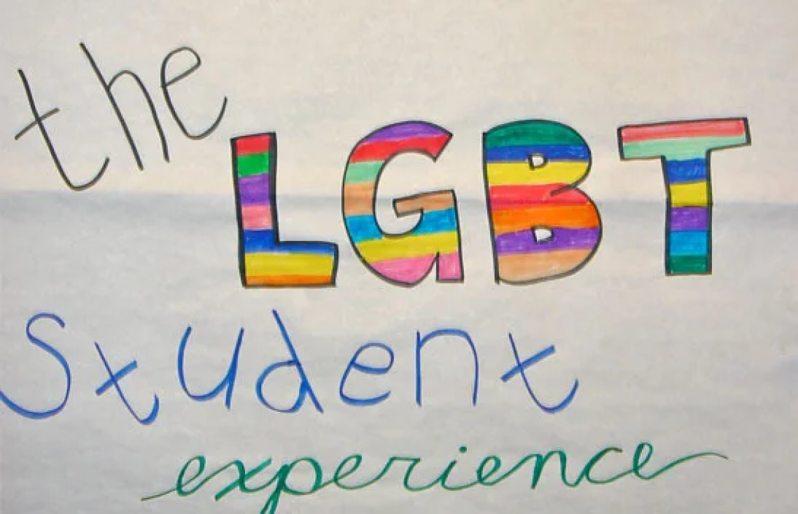 Understanding LGBTQ Student Experiences: Insights and Perspectives